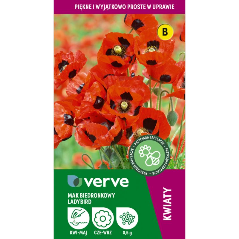 Nasiona maczek Ladybird Verve