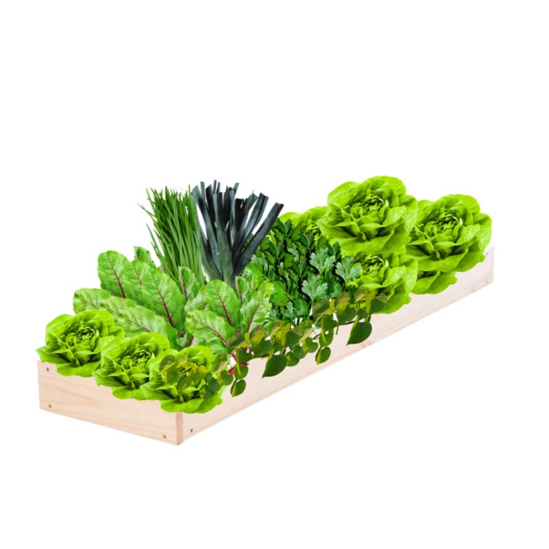 Skrzynia warzywna MODO24 regulowana donica 9x30x100 cm naturalne drewno 1 szt