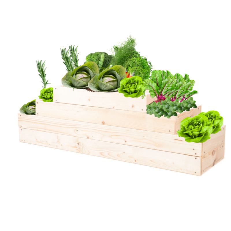Skrzynia warzywna MODO24 regulowana inspekt 36x117x30 cm przezroczyste impregnowane drewno 1 szt