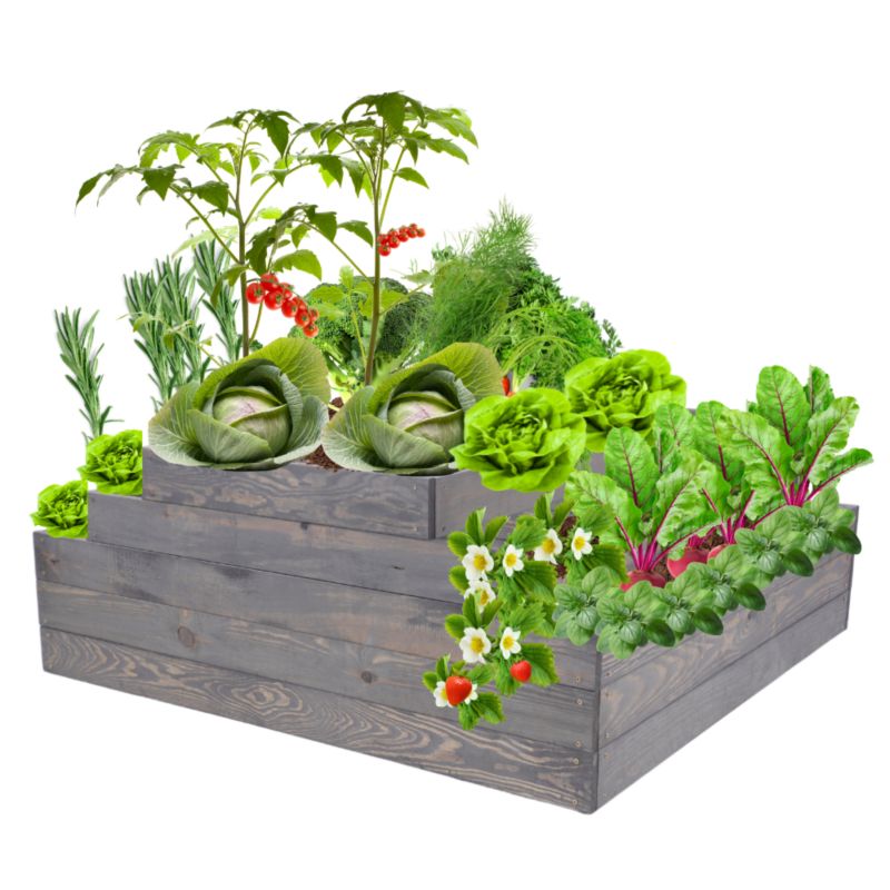 Skrzynia warzywna MODO24 regulowana inspekt 45x117x100 cm szare impregnowane drewno 1 szt