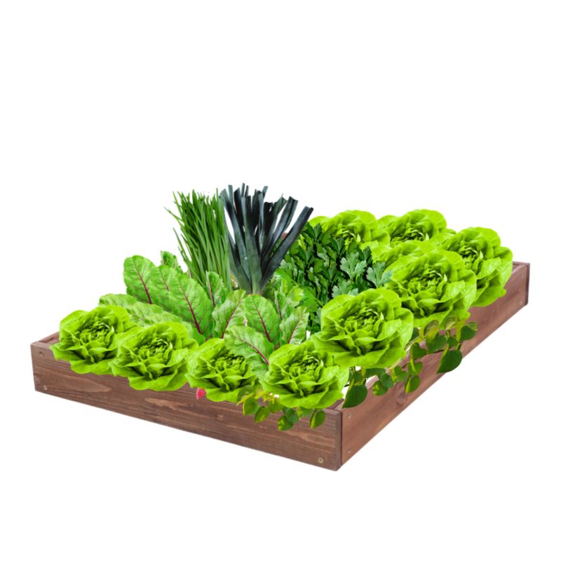 Skrzynia warzywna MODO24 regulowana inspekt 9x90x100 cm brązowe impregnowane drewno 1 szt