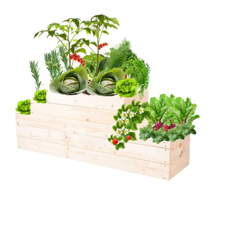 Skrzynia warzywna MODO24 kaskadowa 45x117x30 cm przezroczyste impregnowane drewno 1 szt