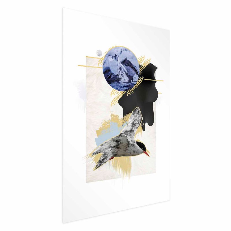 Plakat Artgeist Rybitwa antarktyczna 60x90 cm bez ramy 1 szt