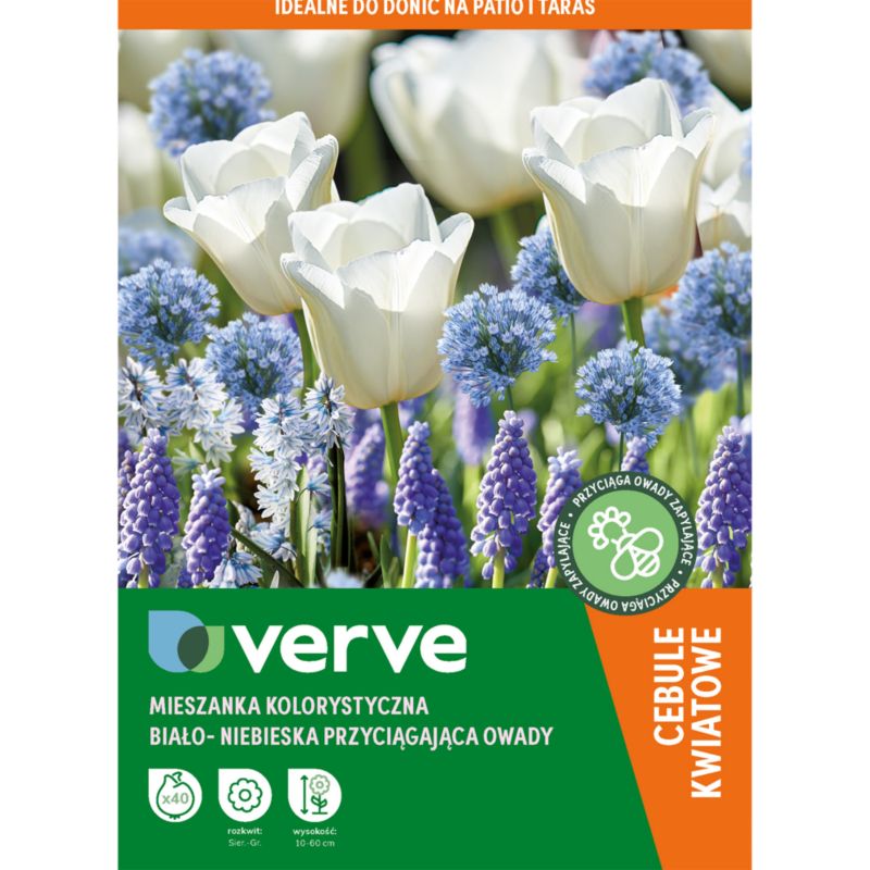 Kolekcja Verve Blue Pollinator 40 sztuk