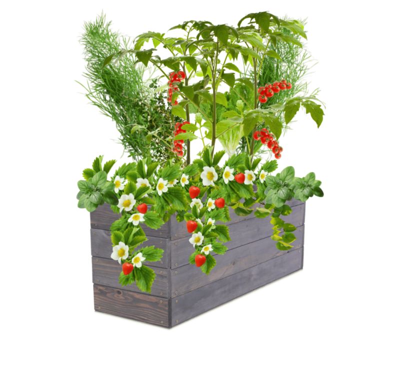 Skrzynia na warzywa MODO24 grządka szara impregnacja 36x83x30 cm 1 szt.