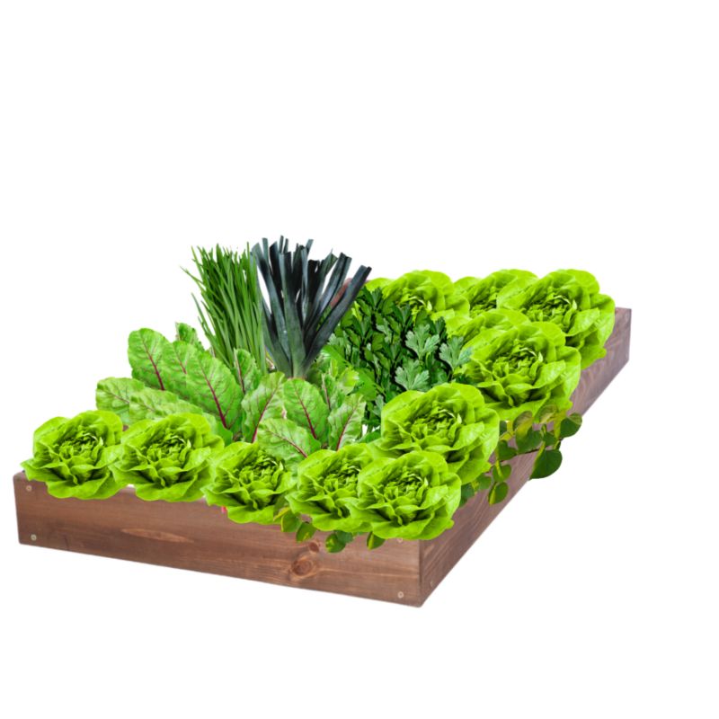 Skrzynia warzywna MODO24 regulowana inspekt 9x60x60 cm brązowe impregnowane drewno 1 szt