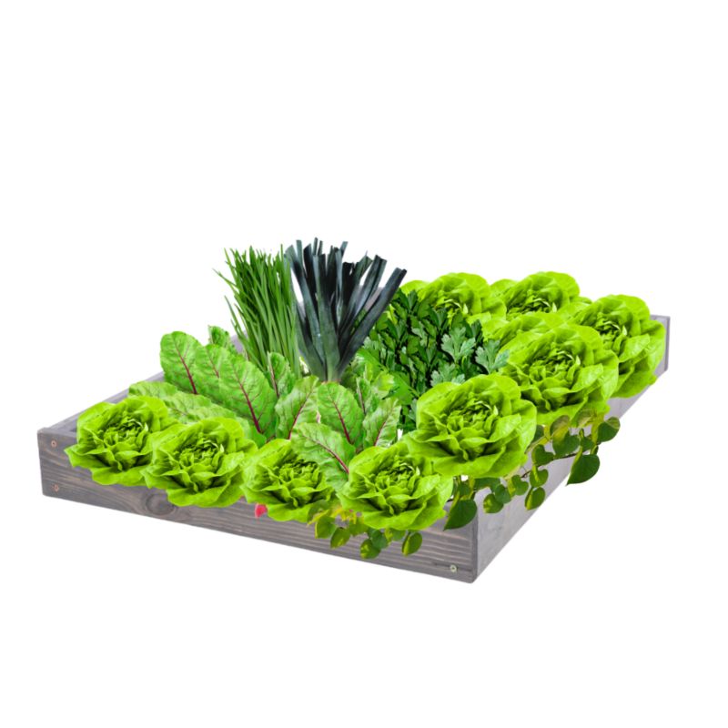 Skrzynia warzywna MODO24 regulowana inspekt 9x90x120 cm szare impregnowane drewno 1 szt