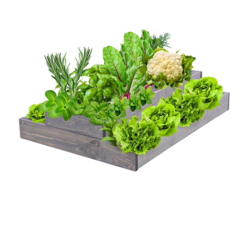 Skrzynia warzywna MODO24 regulowana donica 18x60x60 cm szare impregnowane drewno 1 szt