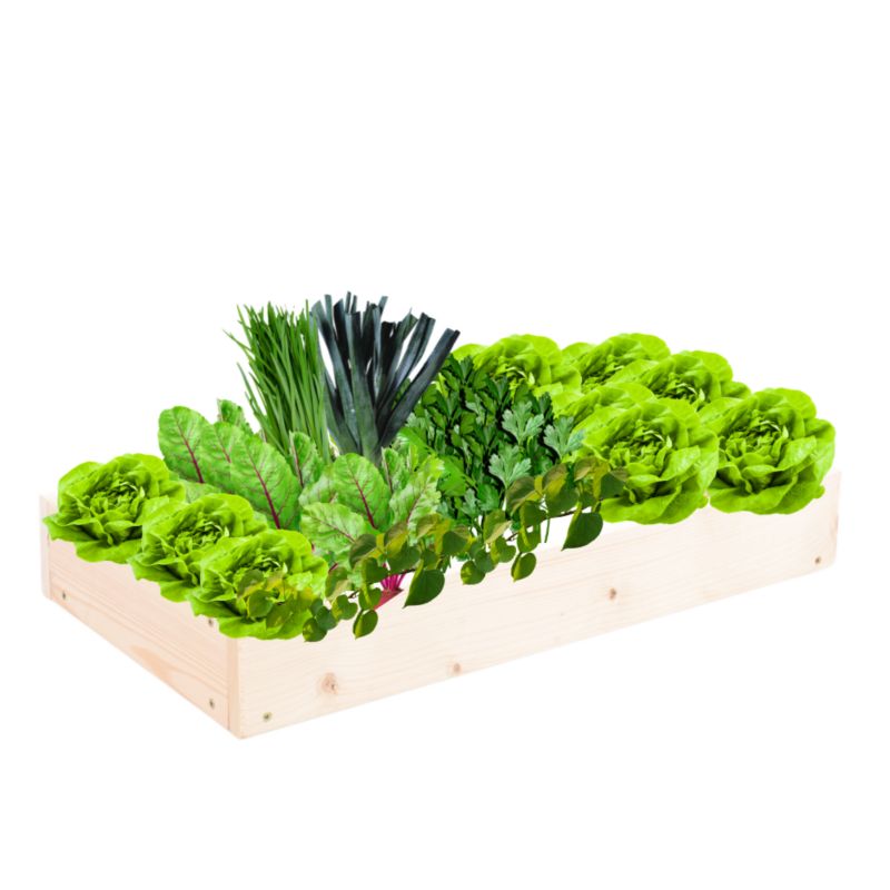 Skrzynia warzywna MODO24 regulowana inspekt 9x60x30 cm naturalne drewno 1 szt