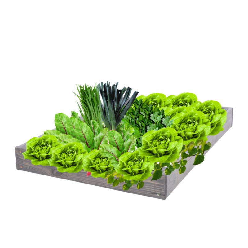 Skrzynia warzywna MODO24 regulowana inspekt 9x90x30 cm szare impregnowane drewno 1 szt