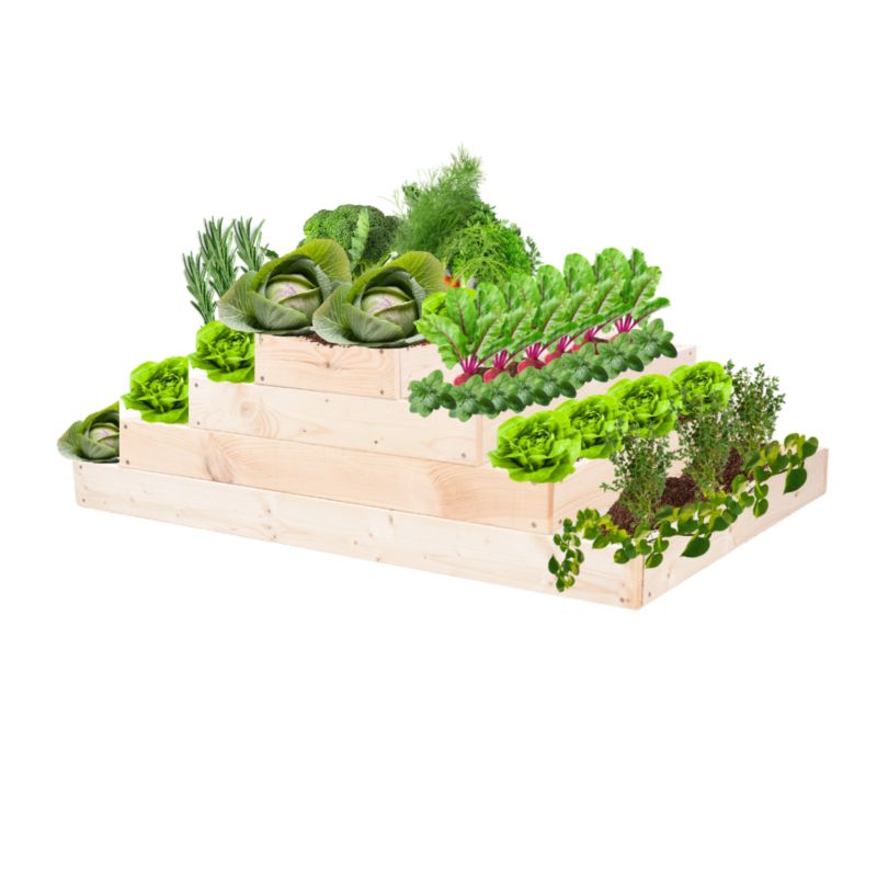 Skrzynia warzywna MODO24 regulowana donica 36x117x90 cm naturalne drewno 1 szt