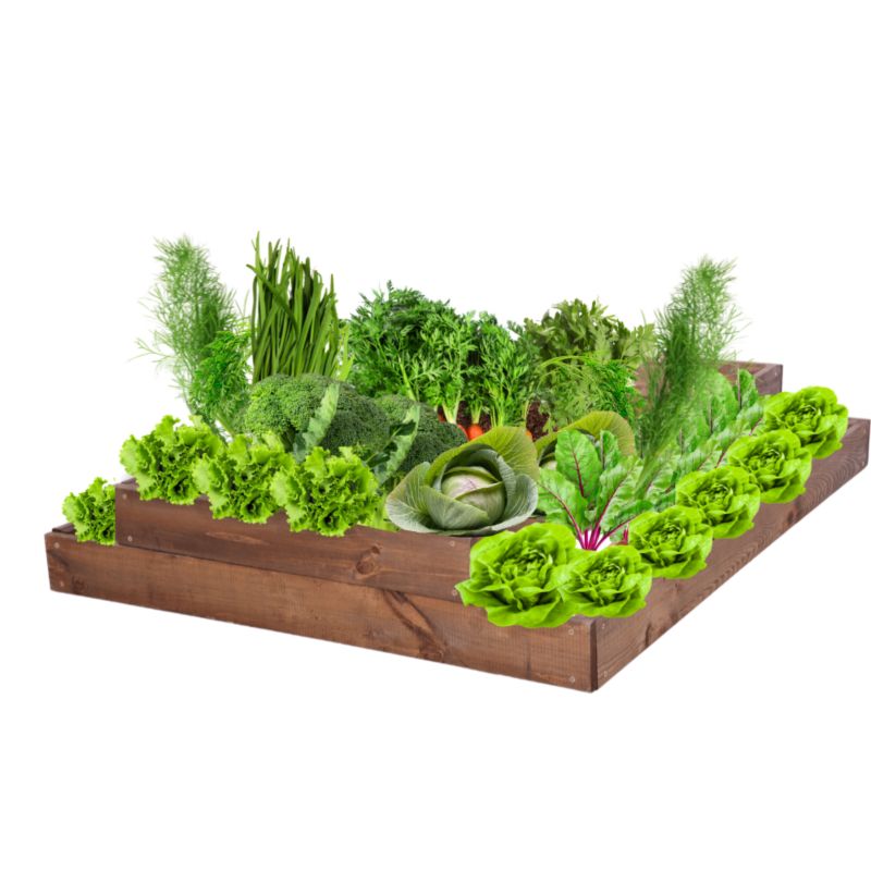 Skrzynia warzywna MODO24 regulowana inspekt 18x90x100 cm brązowe impregnowane drewno 1 szt