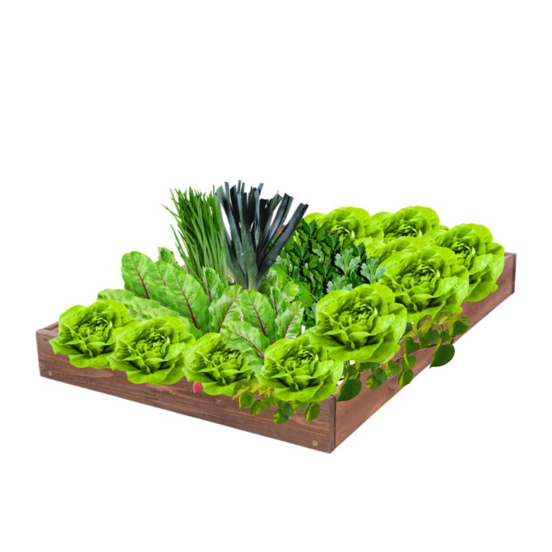 Skrzynia warzywna MODO24 regulowana inspekt 9x90x90 cm brązowe impregnowane drewno 1 szt