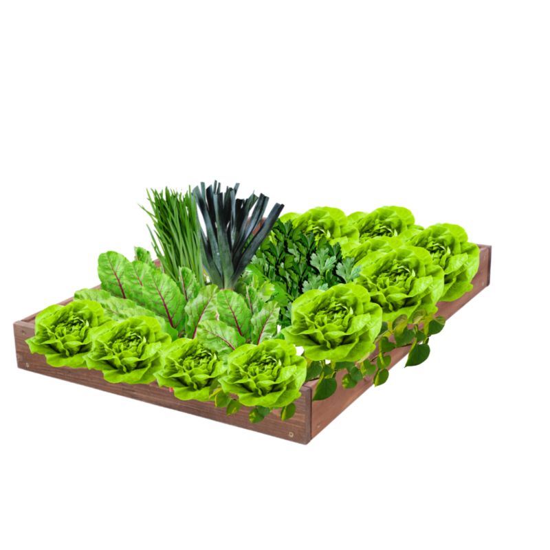 Skrzynia warzywna MODO24 regulowana inspekt 9x60x120 cm brązowe impregnowane drewno 1 szt