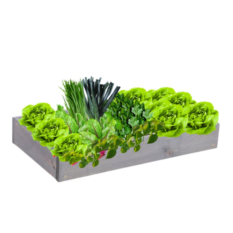 Skrzynia warzywna MODO24 regulowana inspekt 9x60x30 cm szare impregnowane drewno 1 szt