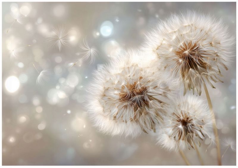 Fototapeta WALLARENA Do Sypialni Salonu Na Flizelinie Dmuchawce Abstrakcja Kwiaty Beżowy 300x210 cm 16160VX6 1 szt.