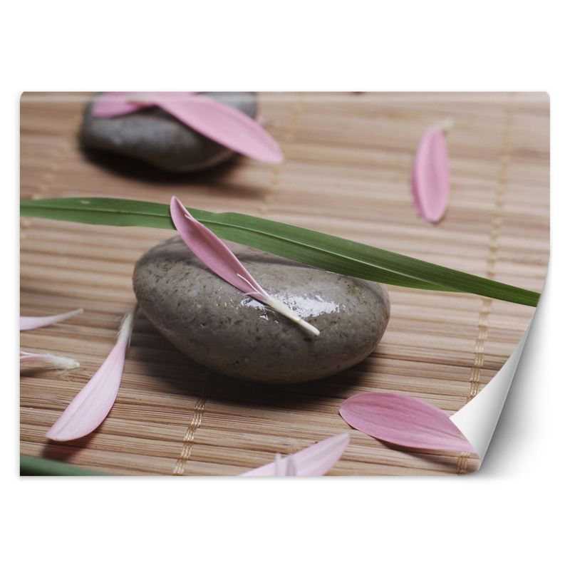 Fototapeta Feeby Kamień płatki kwiatów 150x105 1 szt