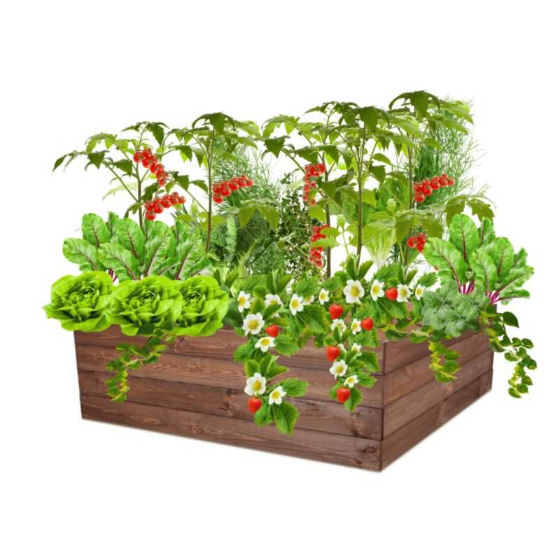 Grządka podwyższona MODO24 skrzynia na warzywa brązowa impregnacja 36x103x100 cm 1 szt.