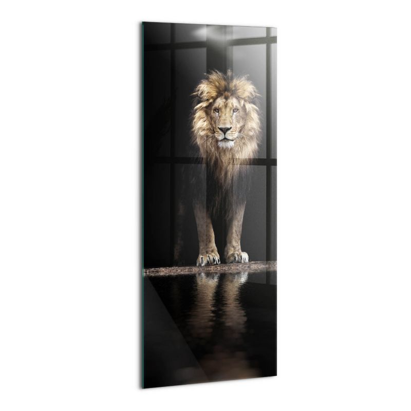 Foto Obraz Ścienny Szklany Wallfluent 50x125 cm Samotne zwierzę dziki lew 1 szt.