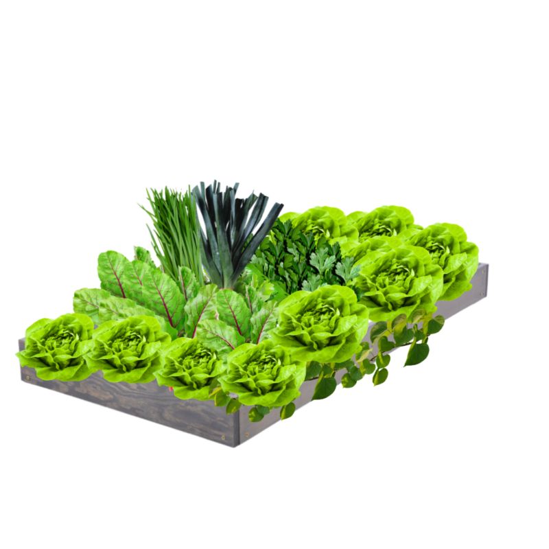 Skrzynia warzywna MODO24 regulowana inspekt 9x60x80 cm szare impregnowane drewno 1 szt