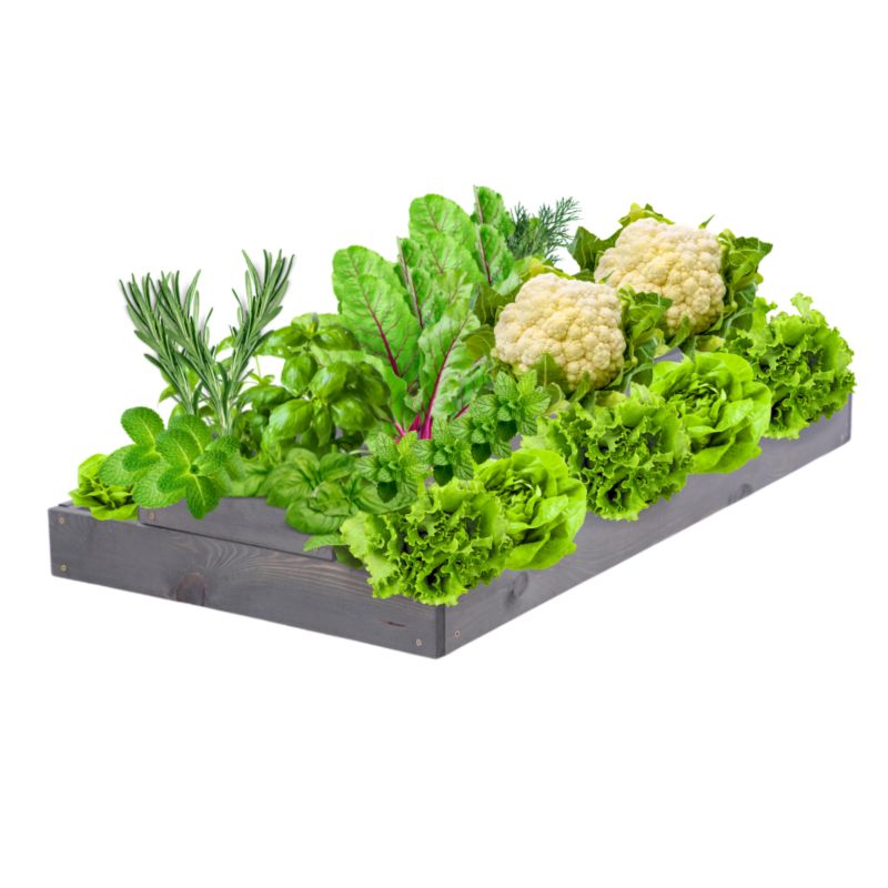 Skrzynia warzywna MODO24 regulowana inspekt 18x60x100 cm szare impregnowane drewno 1 szt