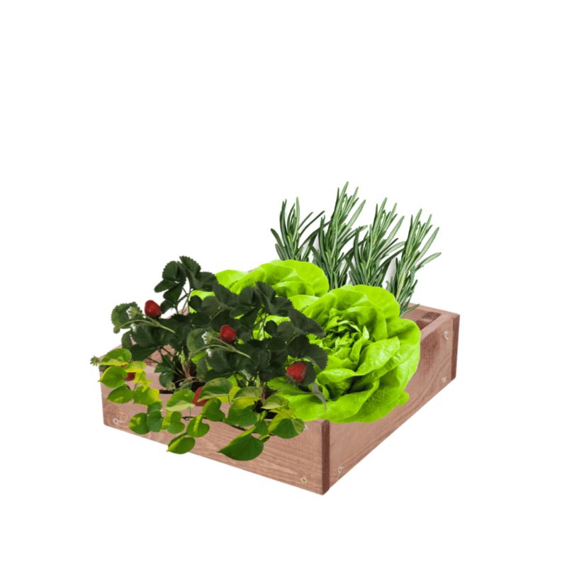 Skrzynia warzywna MODO24 regulowana donica 9x30x30 cm brązowe impregnowane drewno 1 szt