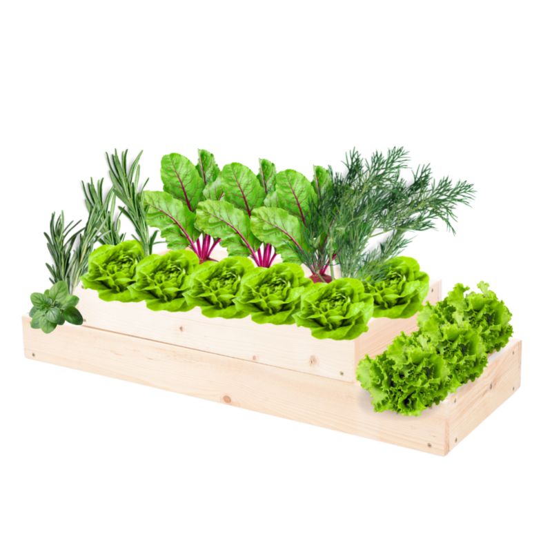 Skrzynia warzywna MODO24 regulowana inspekt 18x90x30 cm przezroczyste impregnowane drewno 1 szt