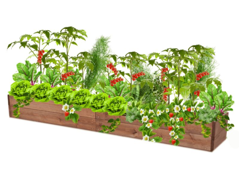 Skrzynia na warzywa MODO24 grządka podwyższona brązowa impregnacja 18x203x30 cm 1 szt.