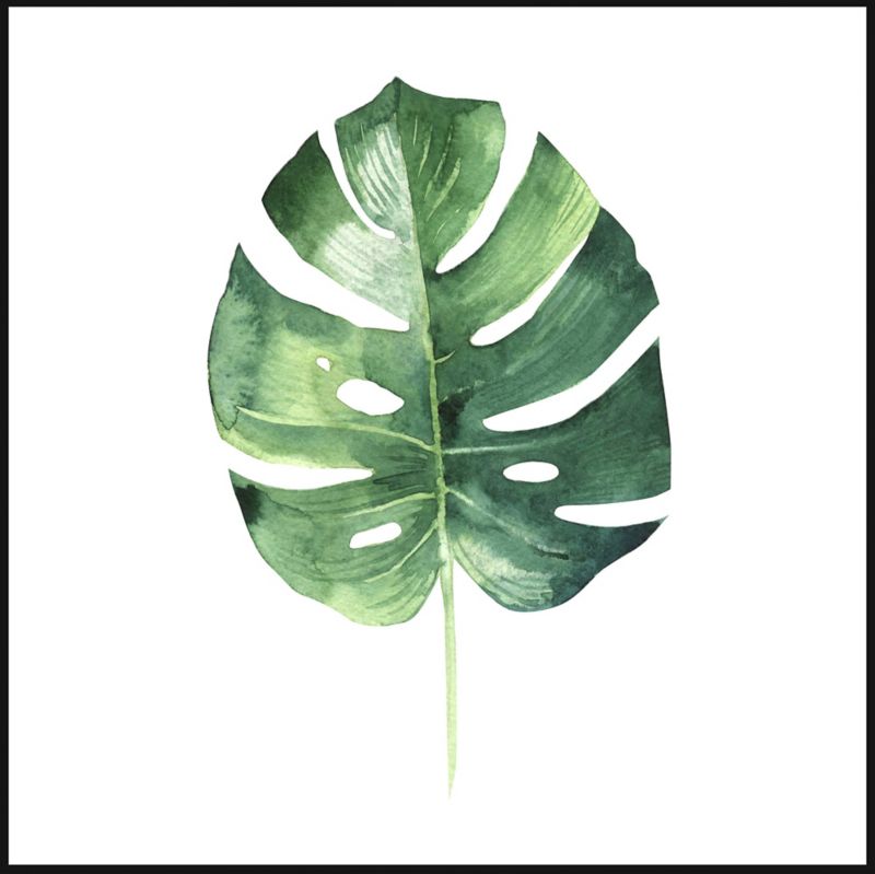 Obraz Deco box Liść 2 50 x 50 cm