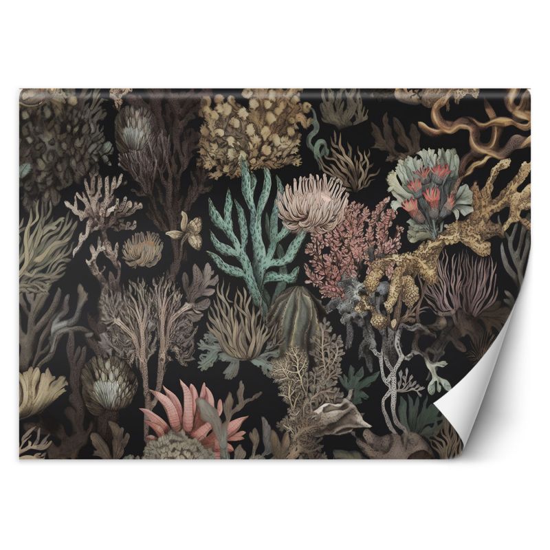 Fototapeta Feeby Feeby Fototapeta Feeby Koralowiec AI 250x175 1 szt