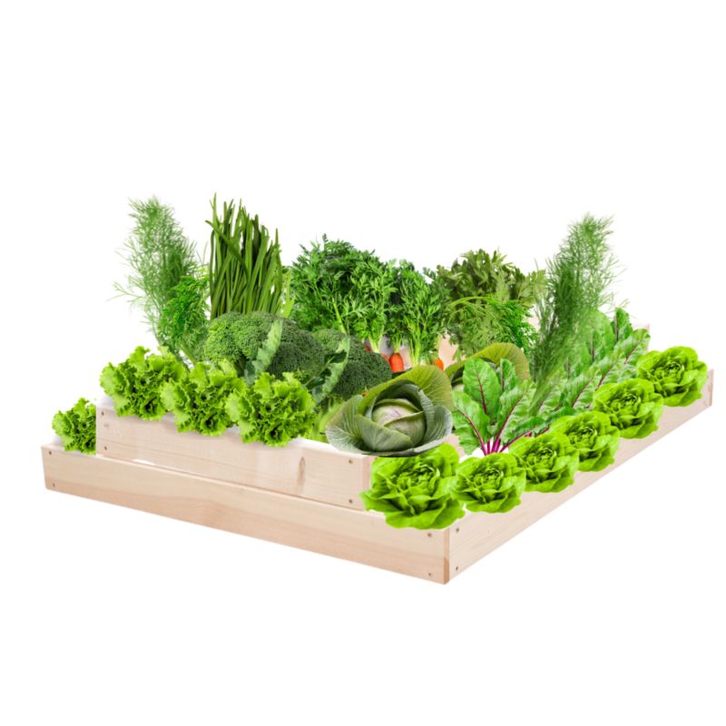 Skrzynia warzywna MODO24 regulowana inspekt 18x90x100 cm przezroczyste impregnowane drewno 1 szt