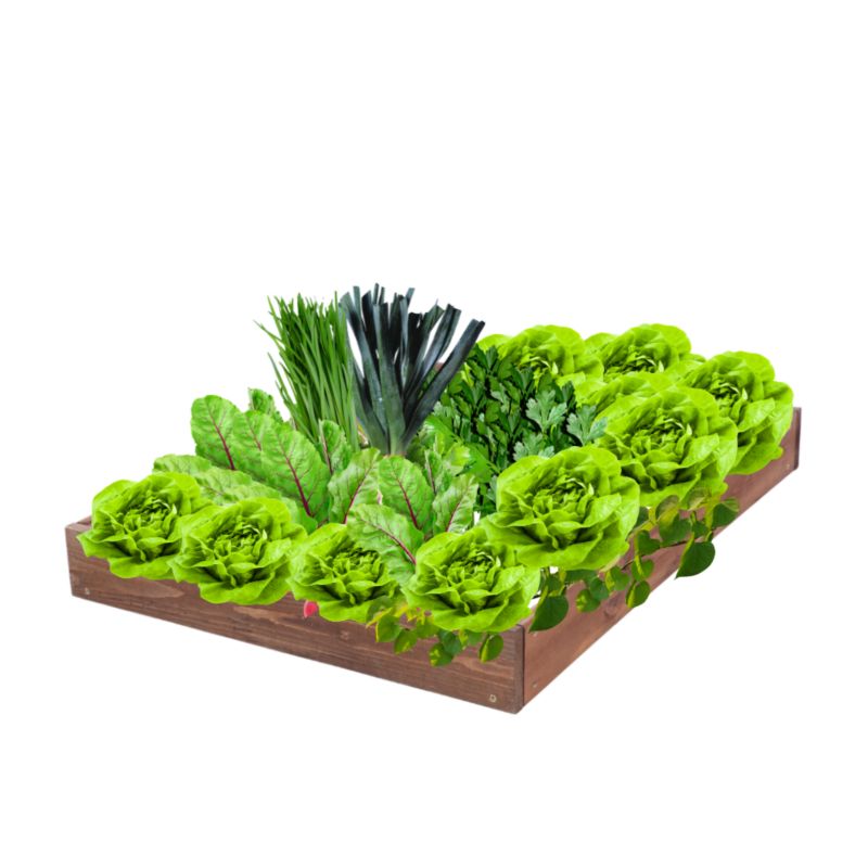 Skrzynia warzywna MODO24 regulowana inspekt 9x90x30 cm brązowe impregnowane drewno 1 szt