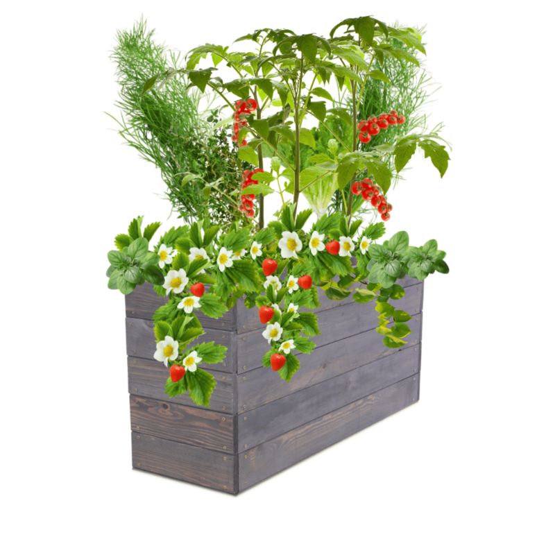 Skrzynia na warzywa MODO24 grządka szara impregnacja 45x103x30 cm 1 szt.