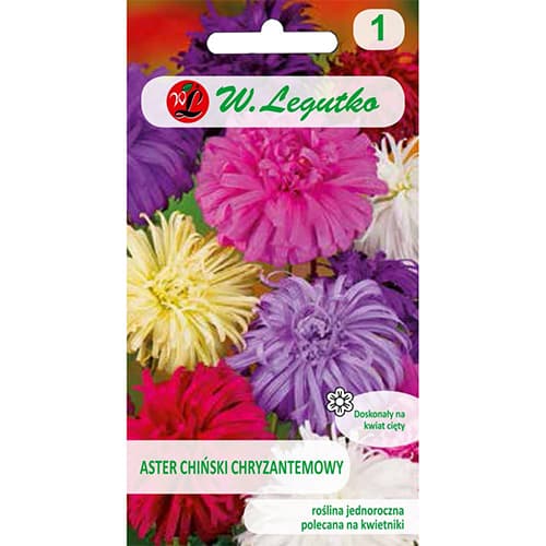 1 szt, Aster chryzantemowy, mix kolorow - Nasiona: Ilość w opakowaniu: 1.25 g
