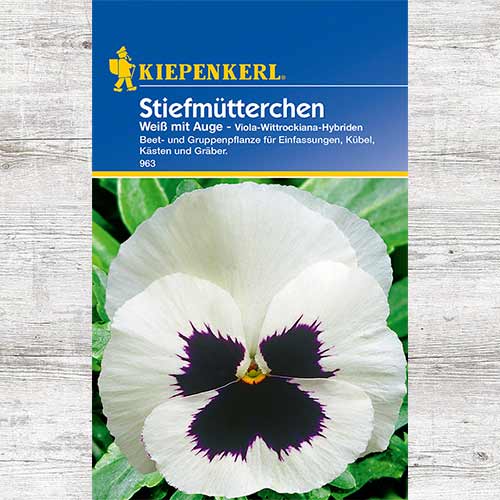 1 szt, Bratek White eyed - Nasiona: Ilość w opakowaniu: 1 opak