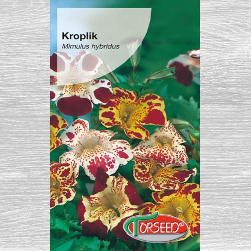 1 szt, Kroplik tygrysi - Nasiona: Ilość w opakowaniu: 0.25 g