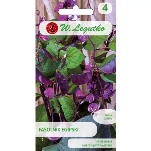 1 szt, Fasolnik egipski różowo-fioletowy - Nasiona: Ilość w opakowaniu: 3 g