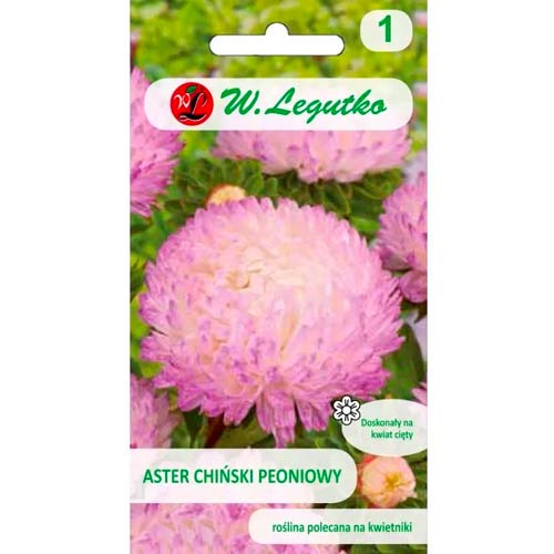 1 szt, Aster peoniowy biało-różowy - Nasiona: Ilość w opakowaniu: 1 g