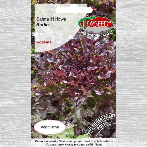 1 szt, Sałata liściowa Redin - Nasiona: Ilość w opakowaniu: 0.5 g