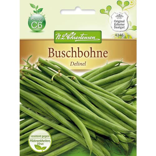 Fasola Delinel - Nasiona. Ilość w opakowaniu: 1 opak - GradinaMax