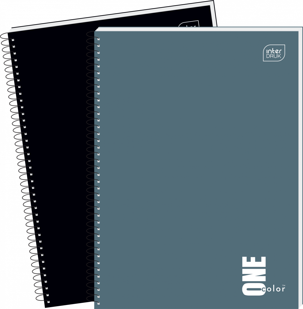 2x Kołonotatnik Interdruk One Color, A4, w kratkę, 100 kartek, mix kolorów