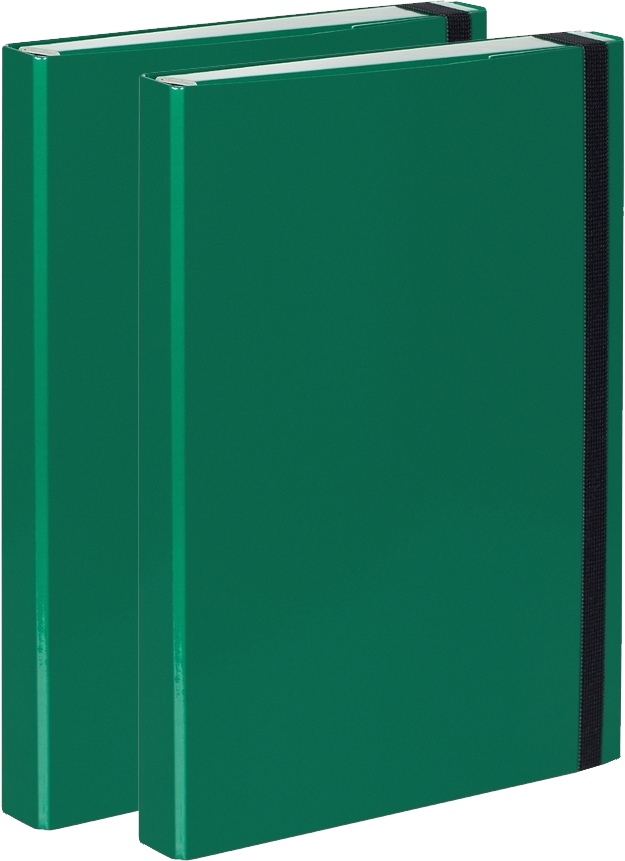 2x Teczka kartonowa z gumką VauPe Box z mechanizmem ringowym, A4, 30mm, zielony