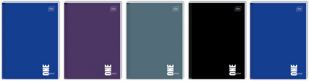 5x Brulion w kratkę Interdruk One Color, A4, twarda oprawa, 96 kartek, mix wzorów