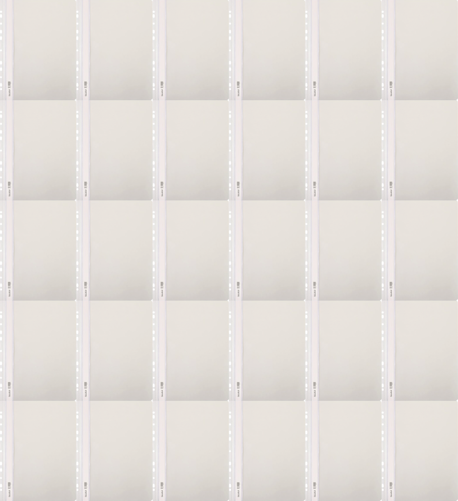 260x Skoroszyt plastikowy oczkowy Biurfol, twardy, A4, do 200 kartek, biały