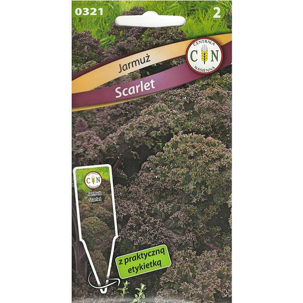 Nasiona Jarmuż Wysoki Czerwony Scarlet 2g