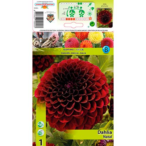 1 cib, Jiřina Natal - : Monžstvo balíkov: 1 cib