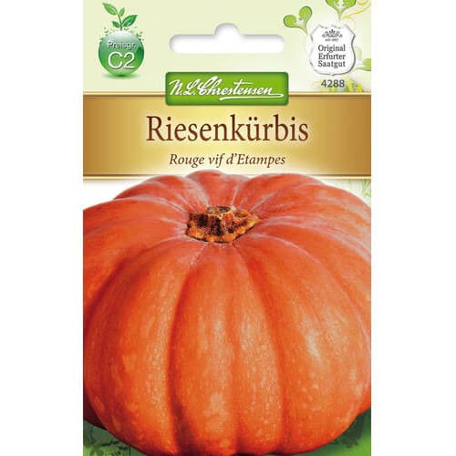 1 ob, Tykev Rouge vif d ́Etampes - : Monžstvo balíkov: 1 ob