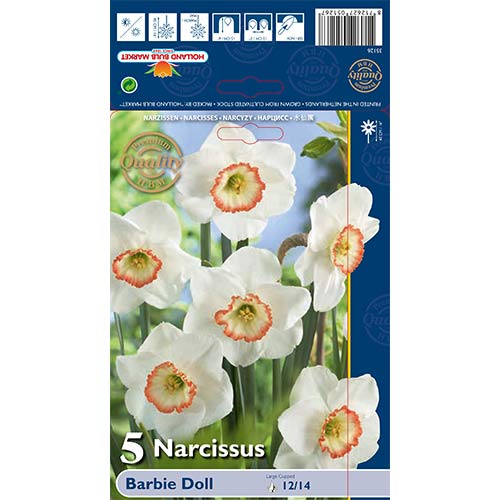 5 db, Nárcisz Barbie Doll - Hagymák: Mod de ambalare: 5 db