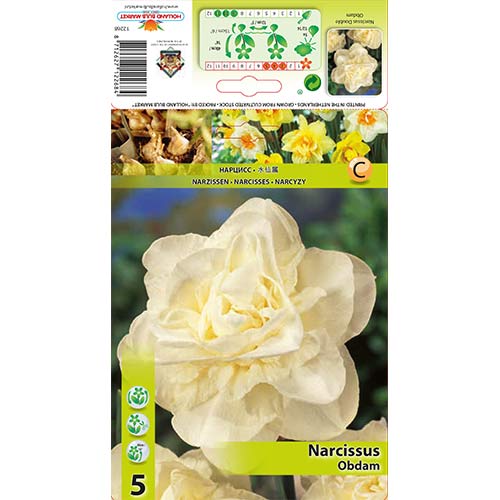 5 db, Nárcisz Obdam - Hagymák: Mod de ambalare: 5 db