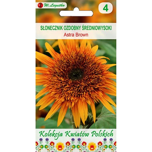 1 szt, Dísz napraforgó Astra Brown - Magok: Mod de ambalare: 1 g